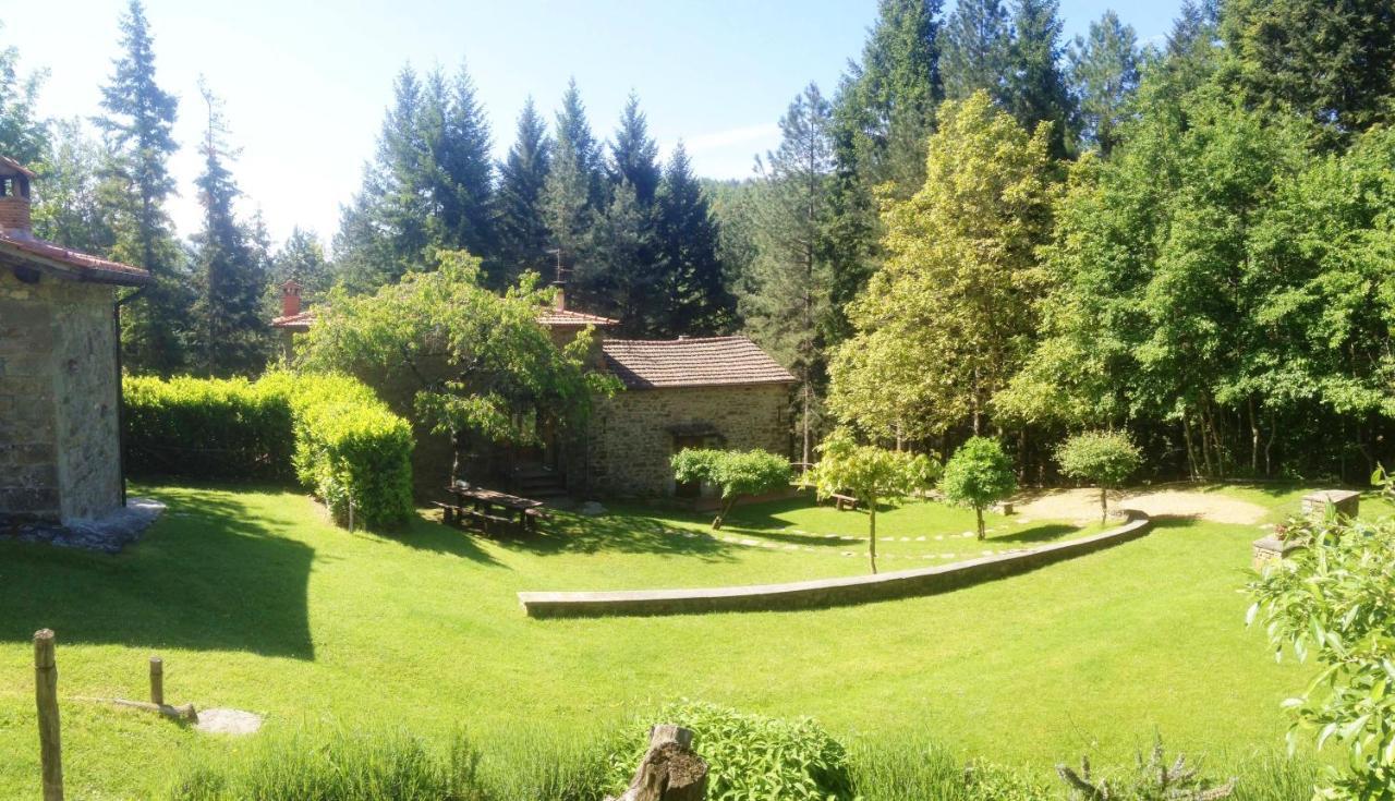 Comfortable House In Bibbiena + Pool Exterior photo