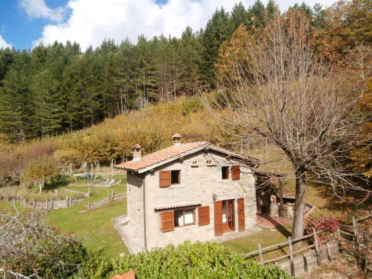 Comfortable House In Bibbiena + Pool Exterior photo